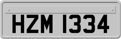 HZM1334