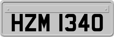 HZM1340