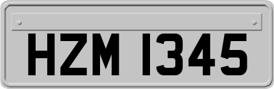 HZM1345