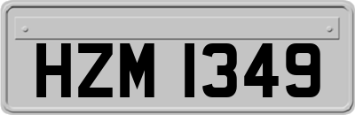 HZM1349