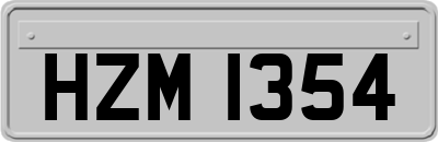 HZM1354