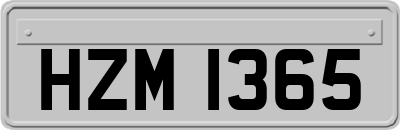 HZM1365