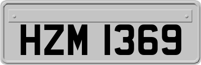HZM1369