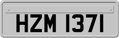 HZM1371