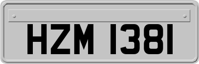 HZM1381