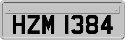 HZM1384