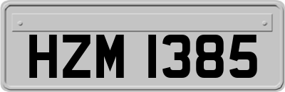 HZM1385