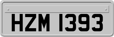 HZM1393