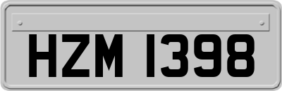 HZM1398