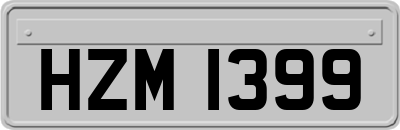 HZM1399