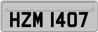 HZM1407