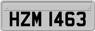 HZM1463