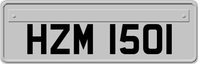HZM1501
