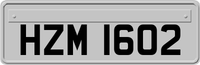 HZM1602