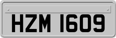 HZM1609