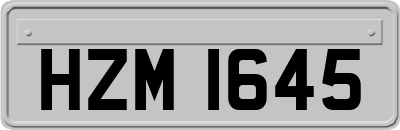 HZM1645