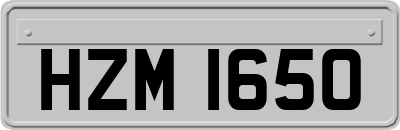 HZM1650