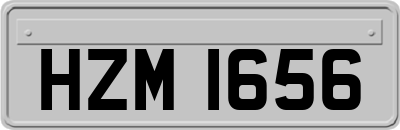 HZM1656