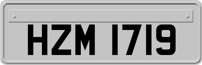 HZM1719