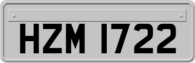 HZM1722