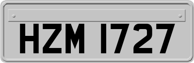 HZM1727