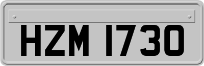 HZM1730