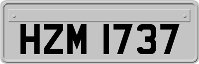 HZM1737