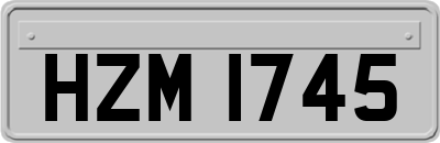 HZM1745