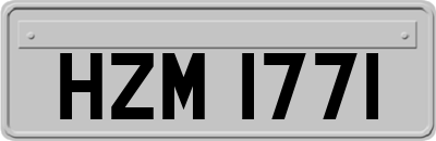 HZM1771