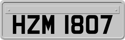 HZM1807