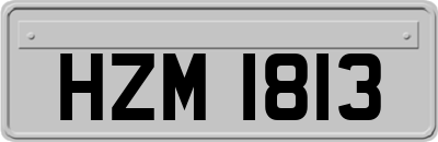 HZM1813