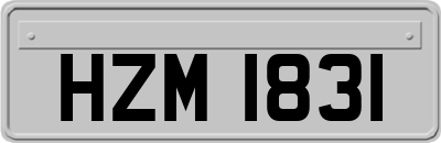 HZM1831