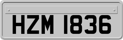 HZM1836