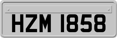 HZM1858