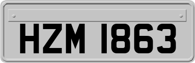 HZM1863