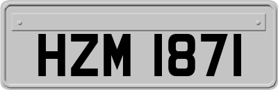 HZM1871