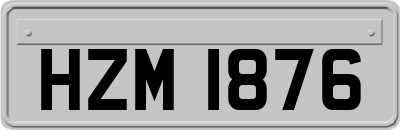 HZM1876