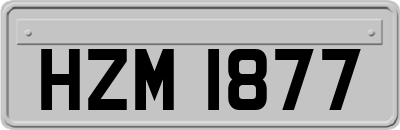 HZM1877