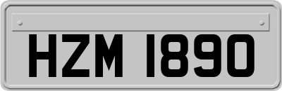 HZM1890
