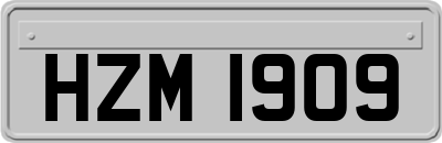 HZM1909