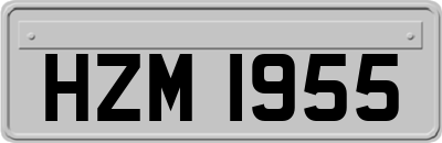 HZM1955