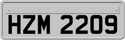 HZM2209