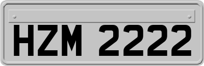 HZM2222