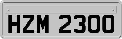 HZM2300