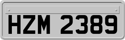 HZM2389