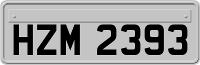 HZM2393