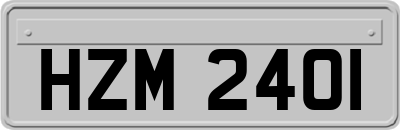 HZM2401