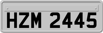 HZM2445