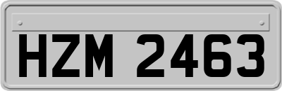 HZM2463