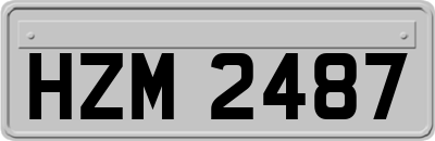 HZM2487